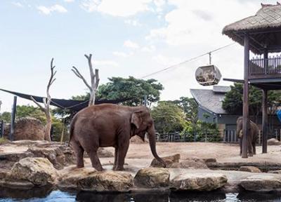 گردش در باغ وحش های شهر سیدنی: راهنمای کامل گردش در باغ وحش های شهر سیدنی: راهنمای کامل